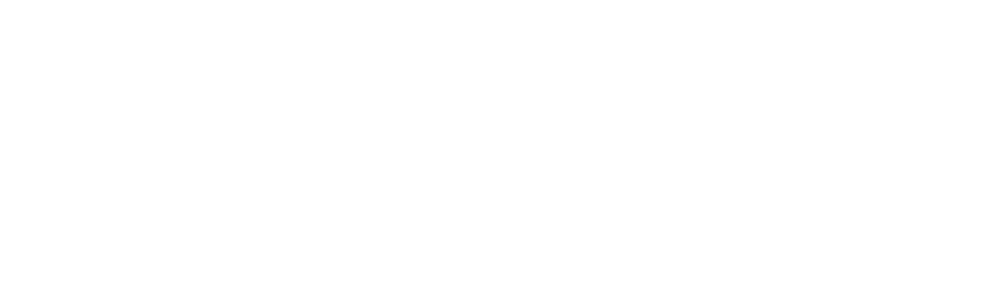 Domus CRM Logo